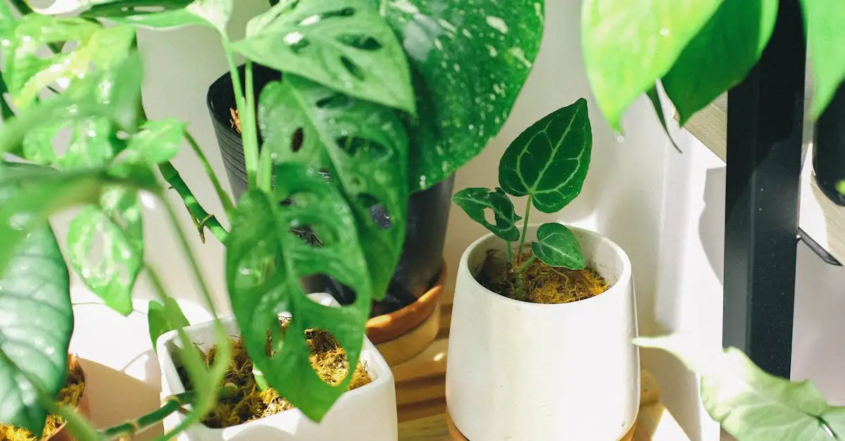 Casa Deco : Idées de décoration intérieure et tendances
