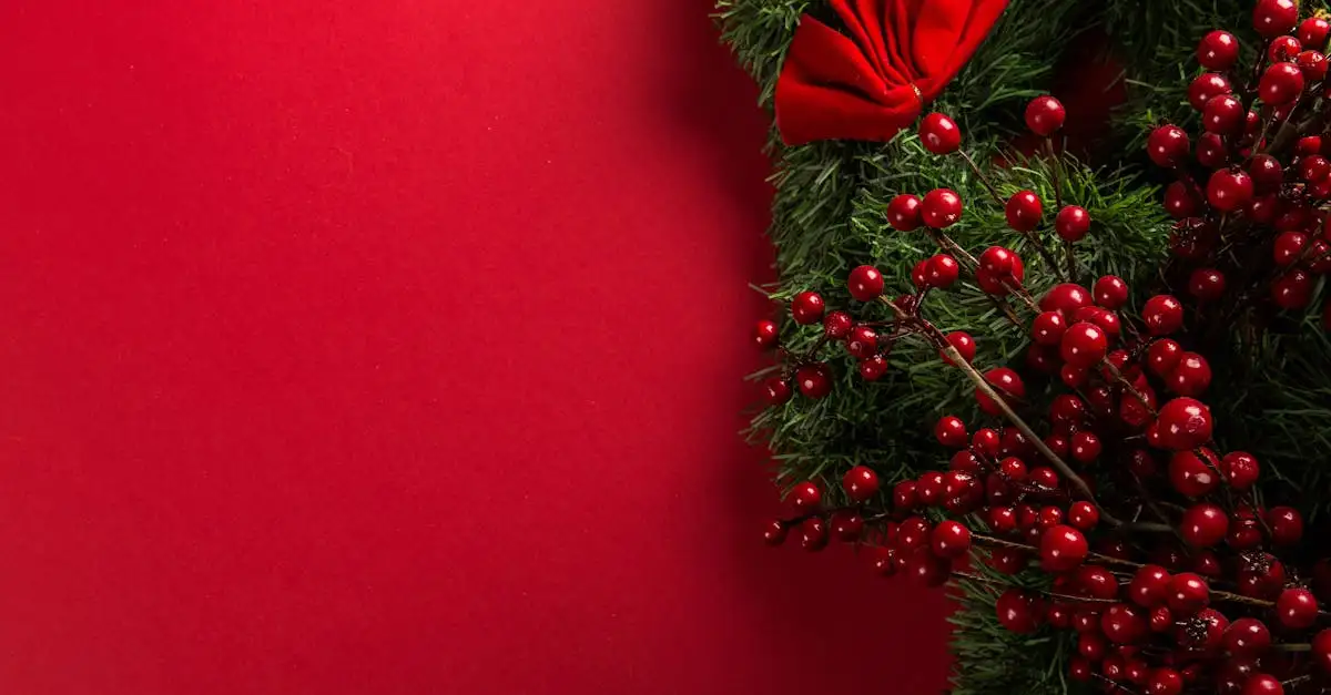Décoration Extérieure de Noël : Idées Lumineuses et