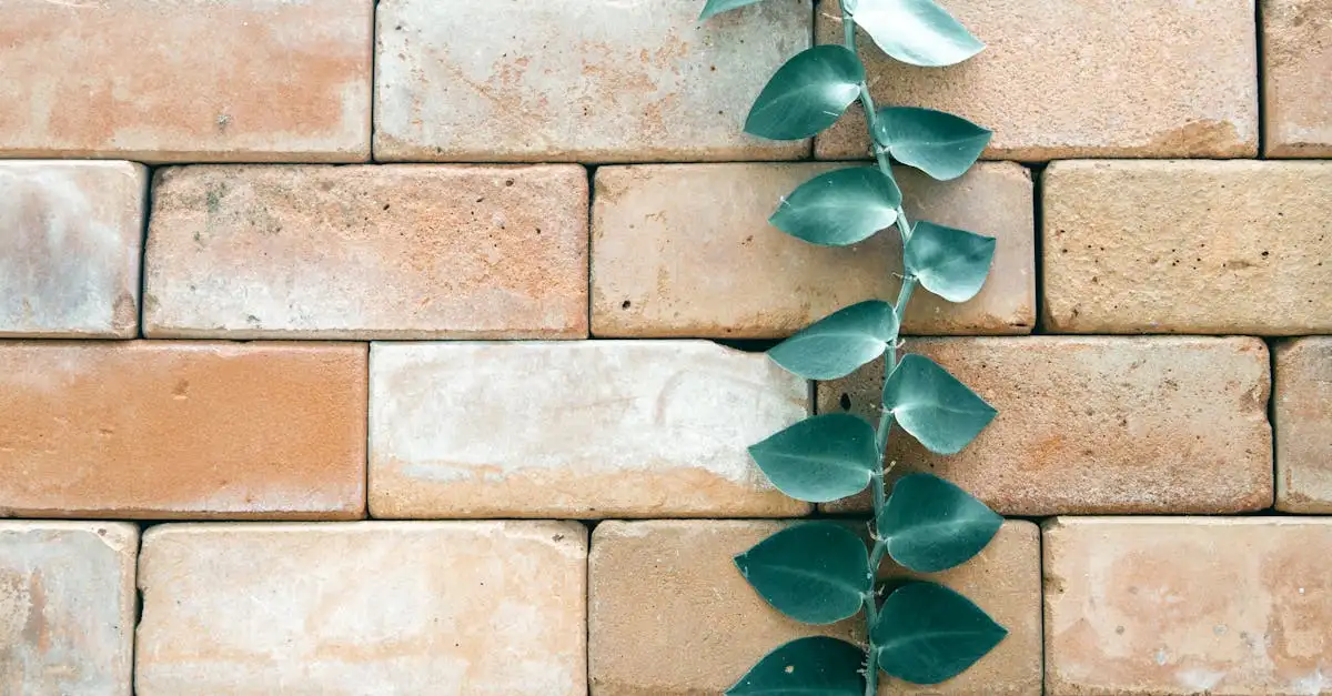 Décoration Murale Extérieure : Idées et Conseils Tendance