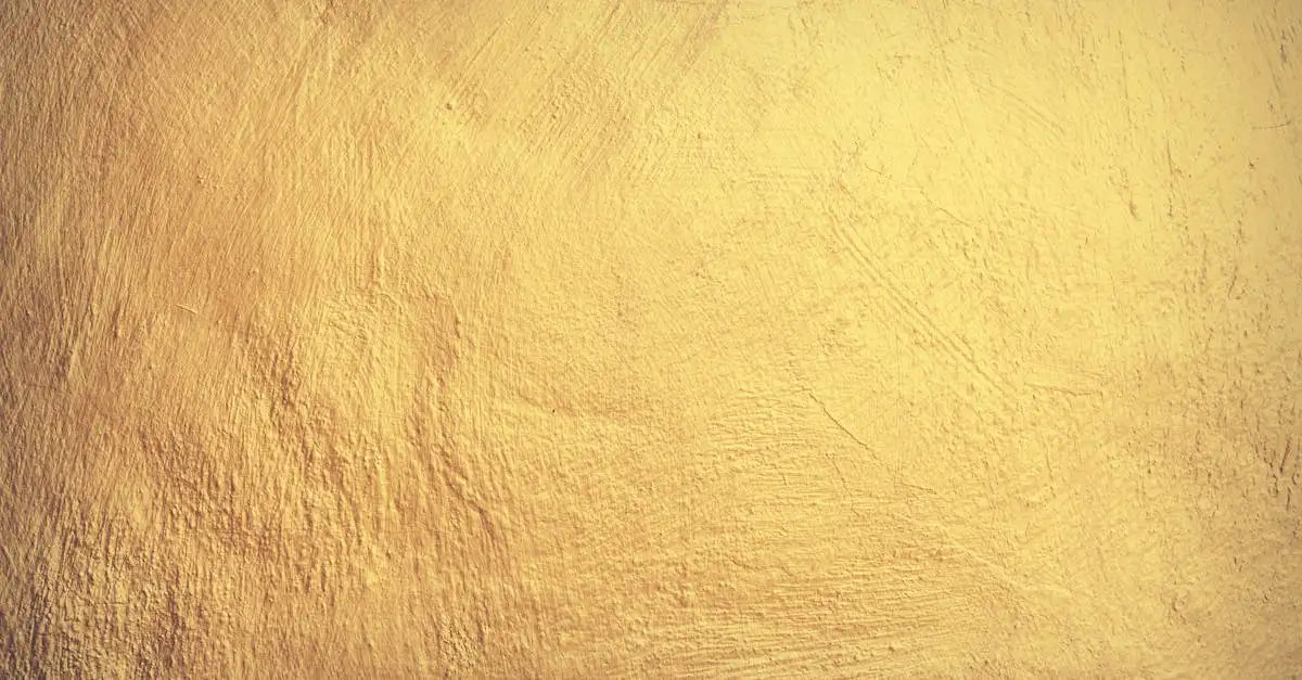 Frise Papier Peint : Décoration Murale Originale et Tendance