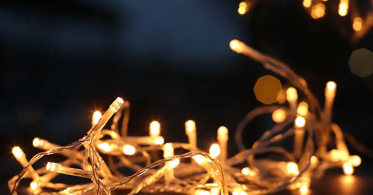 Guirlande Lumineuse LED : Décoration Intérieure et