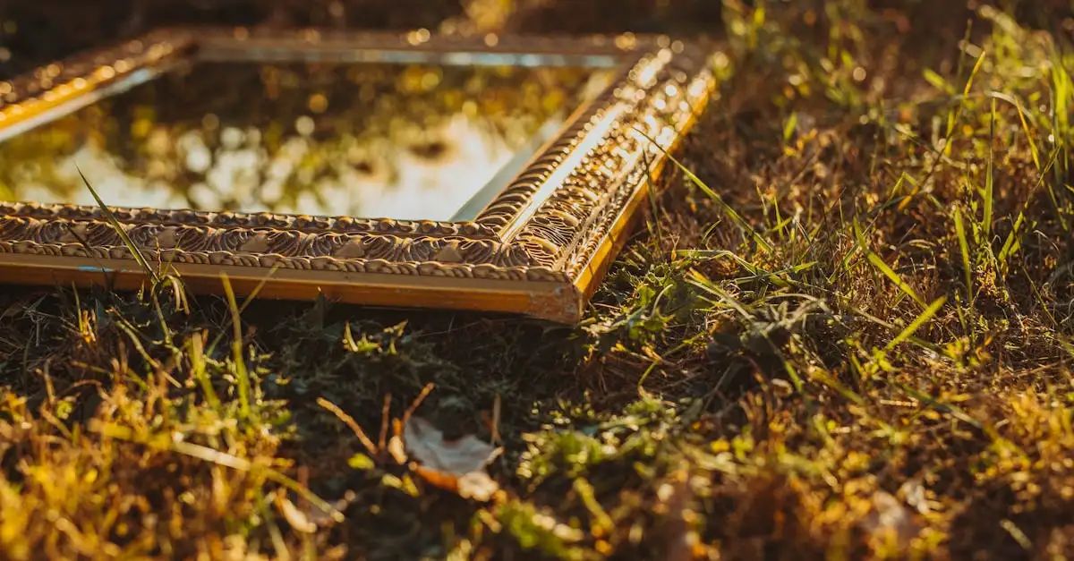 Miroir Ancien Doré : Collection Unique et Authentique
